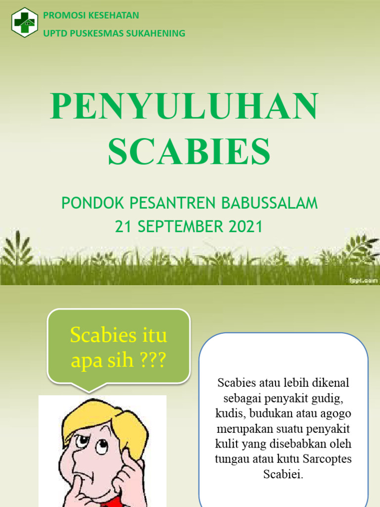 Scabies | PDF