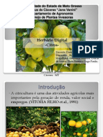 Herbário Digital - Citrus