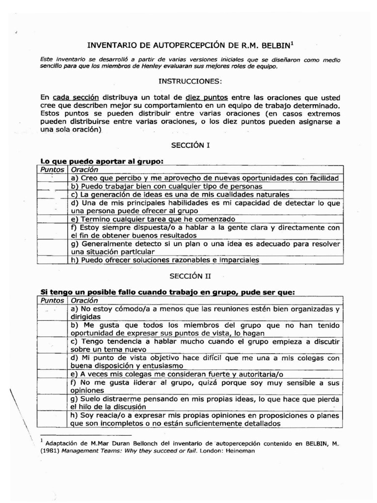 TEST DE BELBIN | PDF