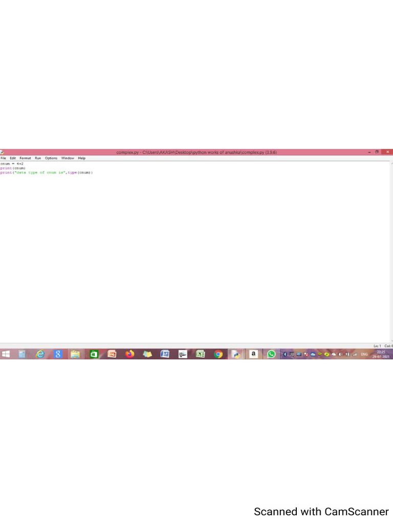 Python work pratical pdf