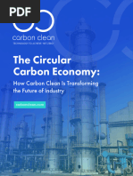 Circular Carbon Economy