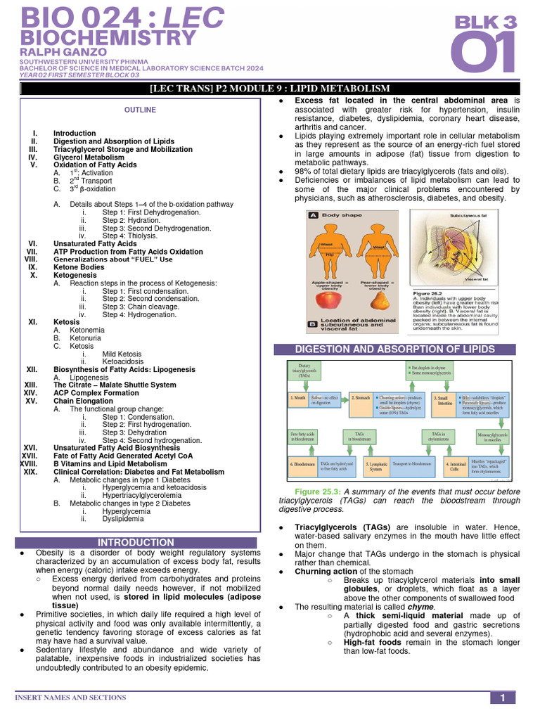 Lipid Metabolism Overview and Processes | PDF | Fatty Acid | Ketosis