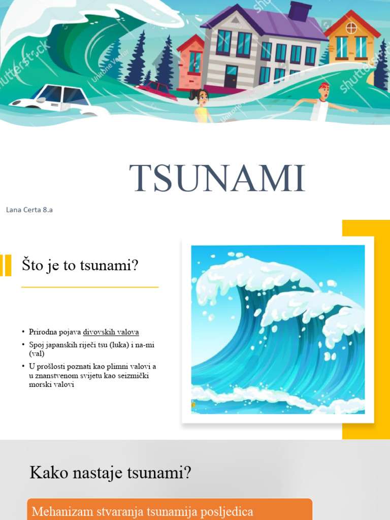 What is tsunami pdf