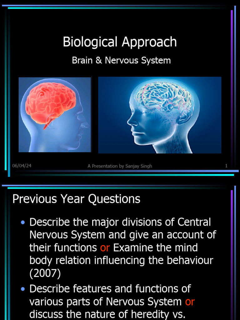 Brain and Nervous Syste | PDF | Nervous System | Brain