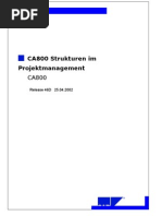 CA800 Structures in Project Management