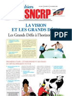 Les Cahiers Du DSNCRP - LA VISION ET LES GRANDS DÉFIS - 2008