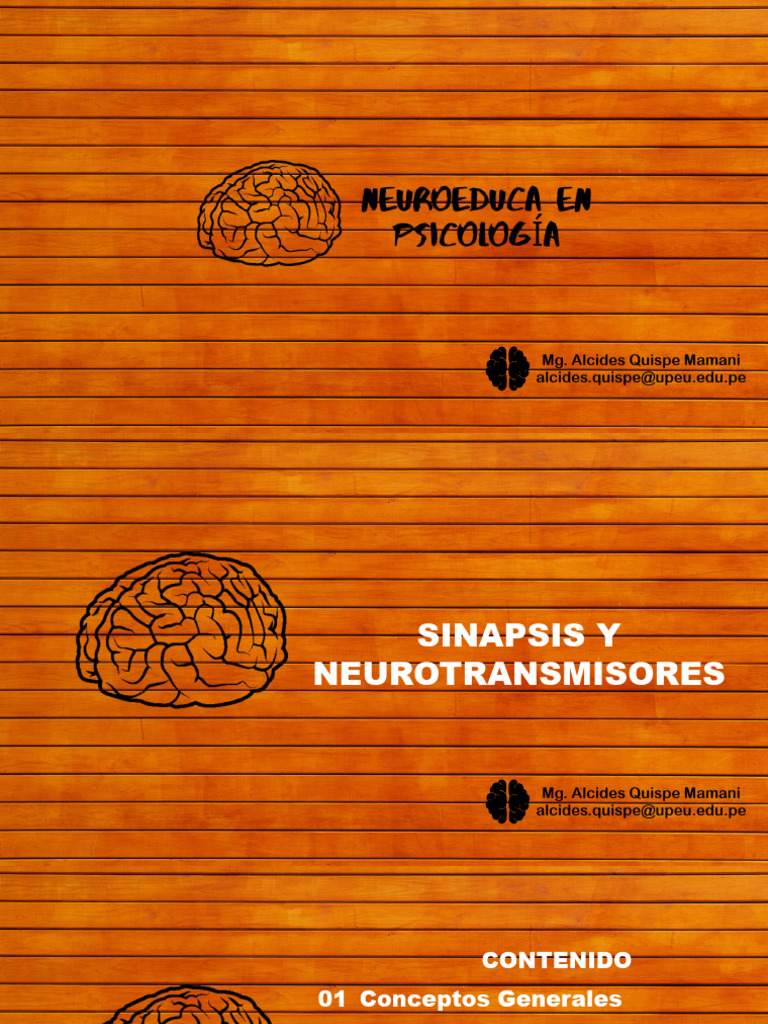 Sinapsis y Neurotransmisores Esenciales | PDF | Sinapsis | Potencial de ...