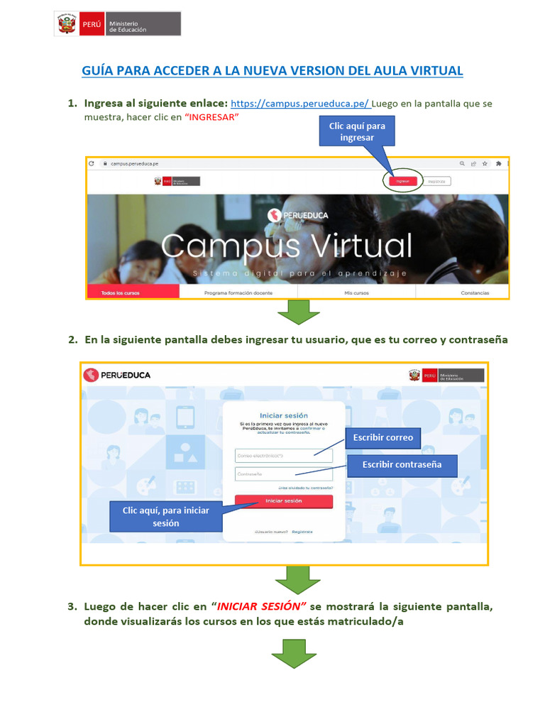 Pasos para Acceder A La Nueva Versión Del Aula Virtual-Vf | PDF