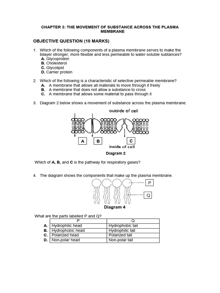 101 Modul Hebat Bio 2021 - PDF - Eng-10-18 | PDF | Cell Membrane | Cell ...