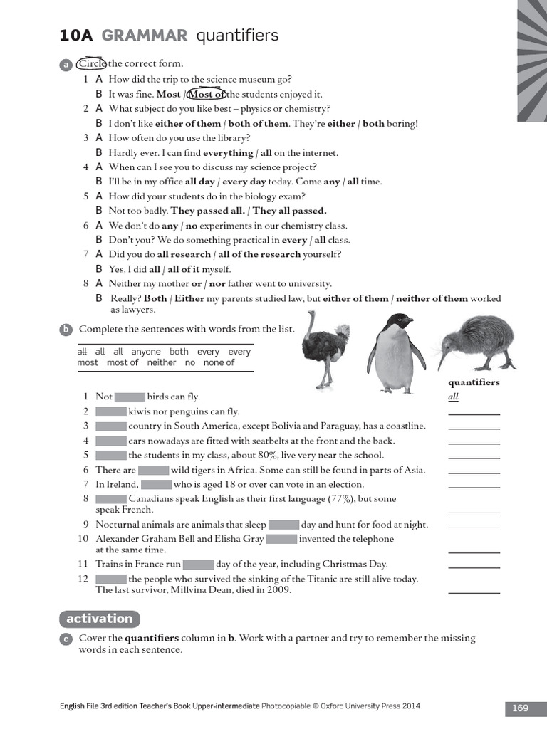Grammar Quantifiers English | PDF