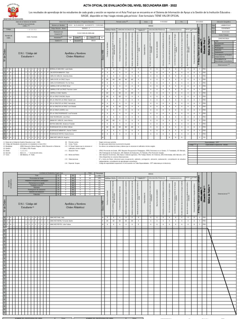 RPT Formato Oficial | PDF