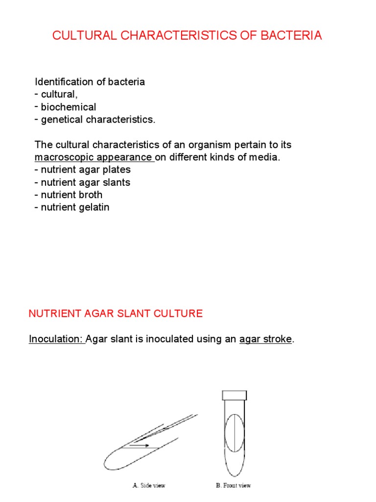 Cultivation Media for Bacteria