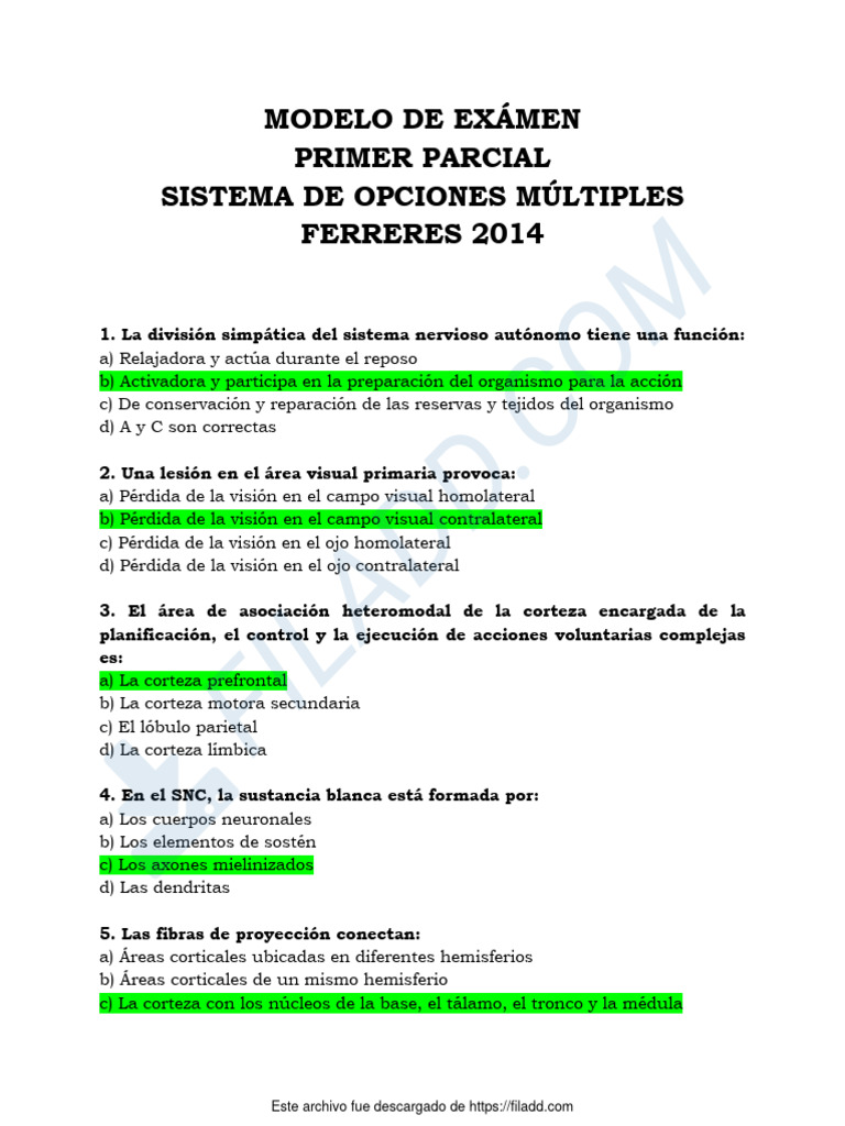 Modelo 1 de 1er Parcial - Neurofisiologia | PDF | Sinapsis | Potencial ...