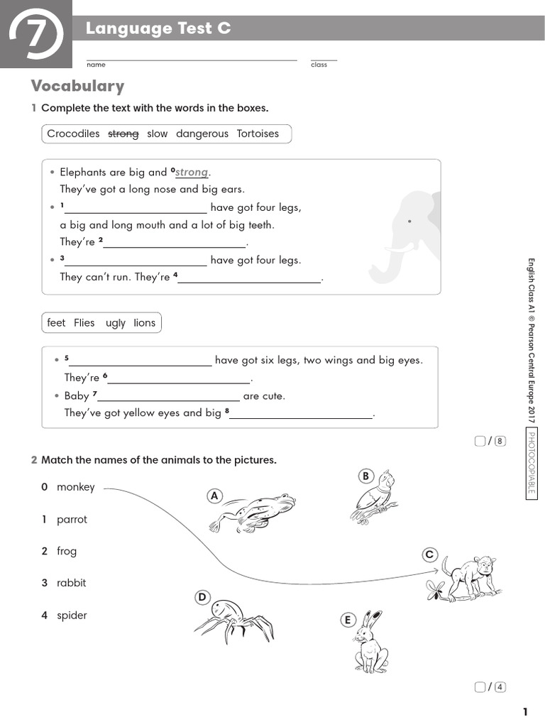 ECA1 - Tests - Language Test 7C | PDF | Linguistics