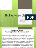 bolile_vitei_de_vie