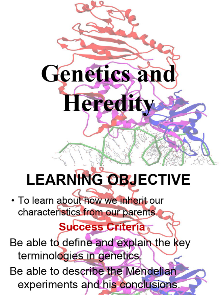 Understanding Genetics and Inheritance | PDF | Translation (Biology ...