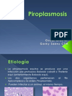 Piroplasmosis