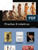 Pruebas Evolutivas - Jaime_Quiros