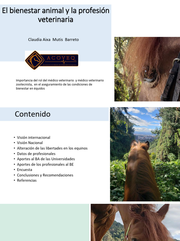 Rol del Veterinario en Bienestar Equino | PDF | Medicina Veterinaria ...