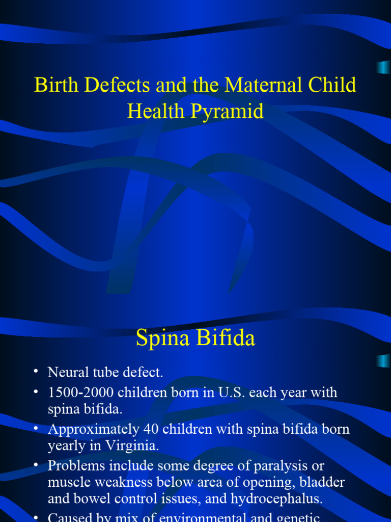 Curated visual reference: Fresh Look at Spina Bifida Prevention And Care Insights Pdf Health Care