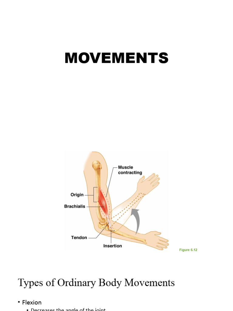Body Movement | PDF