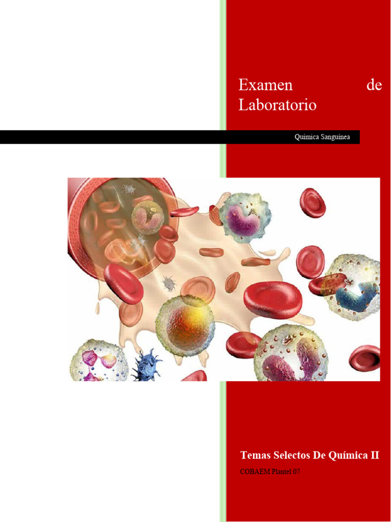 Examen de Química Sanguínea: Análisis Clave | PDF | Sangre | Transaminasa