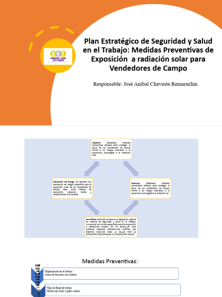 Plan Estratégico de Seguridad y Salud en El | PDF