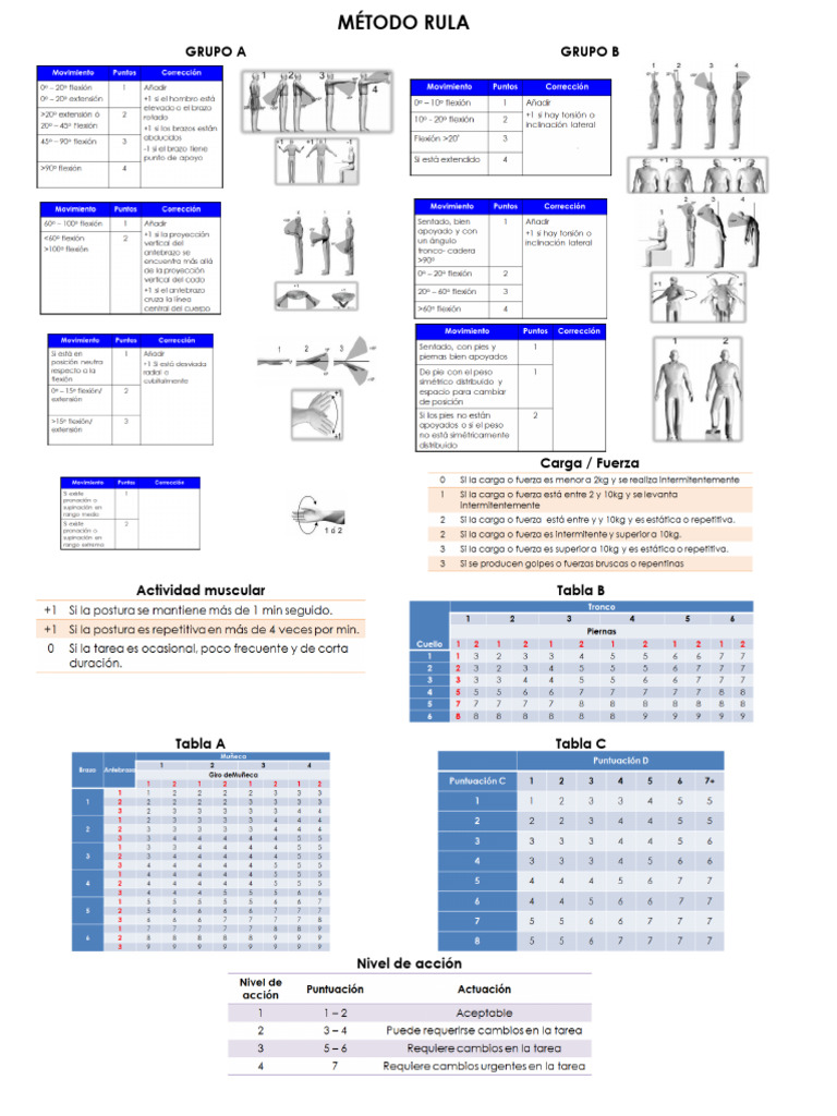 Análisis del Método RULA por Grupos | PDF | Salud y bienestar