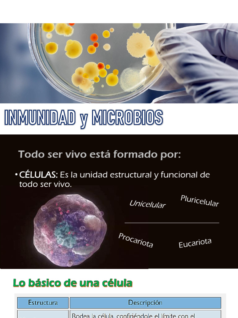 Microbios (2023) | PDF | Ciencias sociales | Ciencia y matemáticas