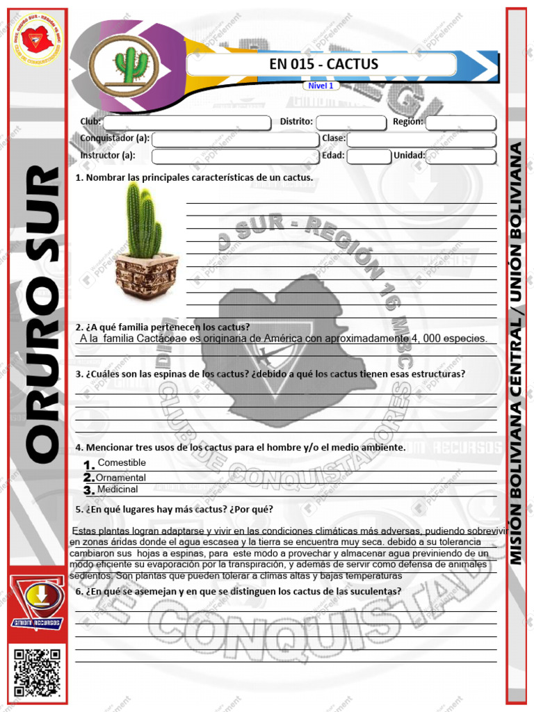 Características y Usos de los Cactus | PDF | Plantas | Botánica
