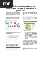 Singripal: Indicación y Composición | PDF | Medicamentos con receta ...