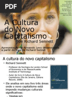 A Cultura Do Novo Capitalismo 1213324234718790 9