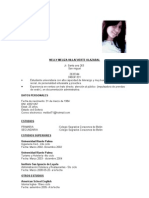 Curriculum Vitae - N Meliza Villafuerte Olazabal