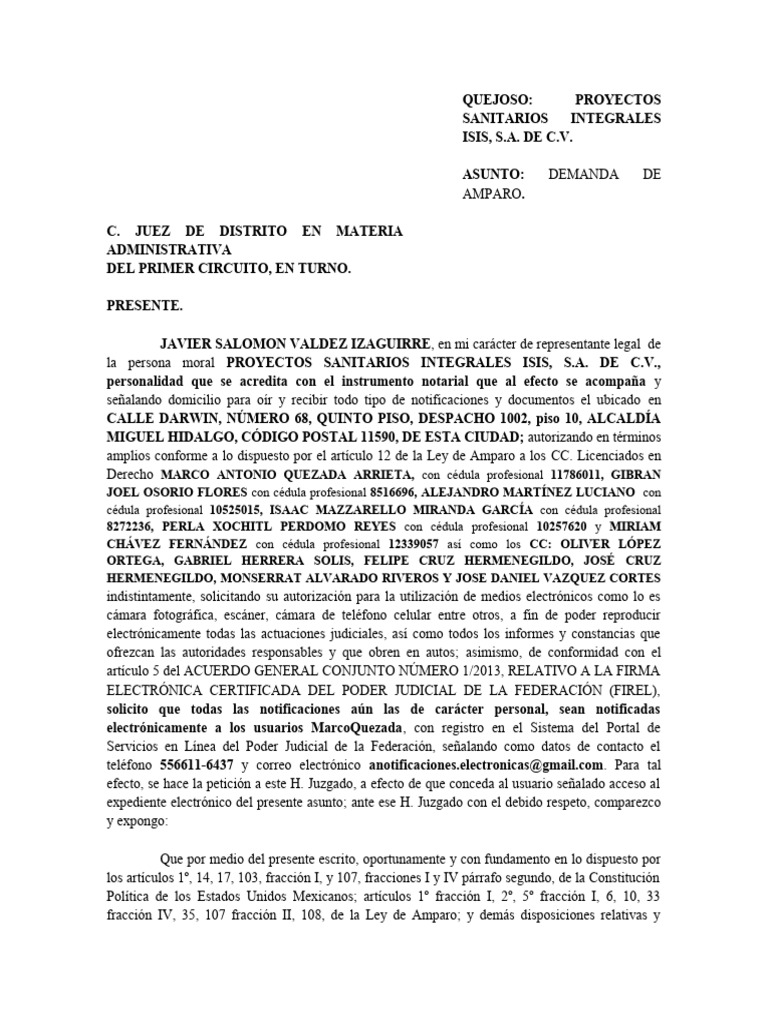 ISIS Amparo Cuentas | PDF | Caso de ley | Constitución