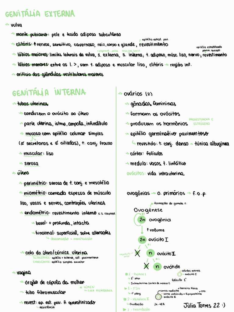 Genitália Externa | PDF