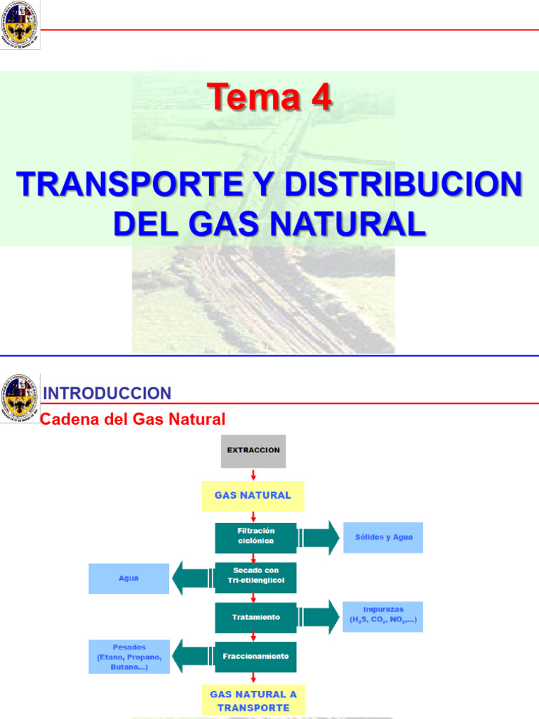 Tema 4.1. Transporte de Gas Natural | PDF | Gas natural | Gas natural ...