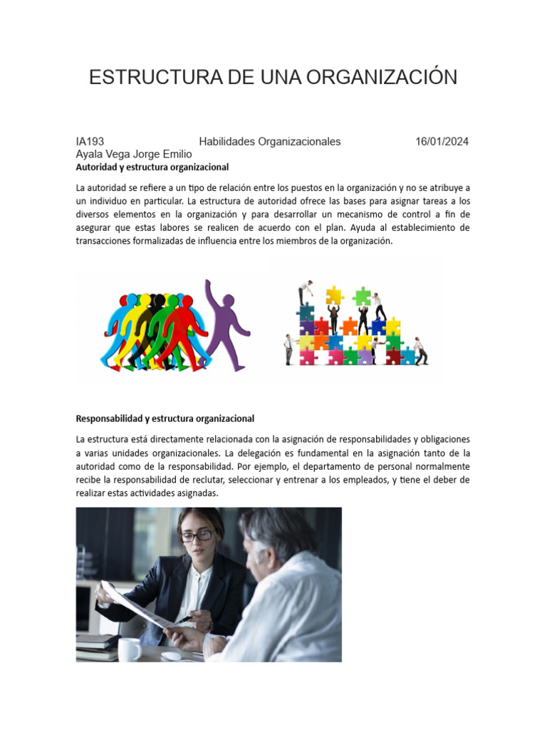 Estructura de Una Organización | PDF | Crecimiento personal y profesional