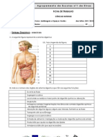Ficha de trabalho 3 - Sistema Digestivo exercícios