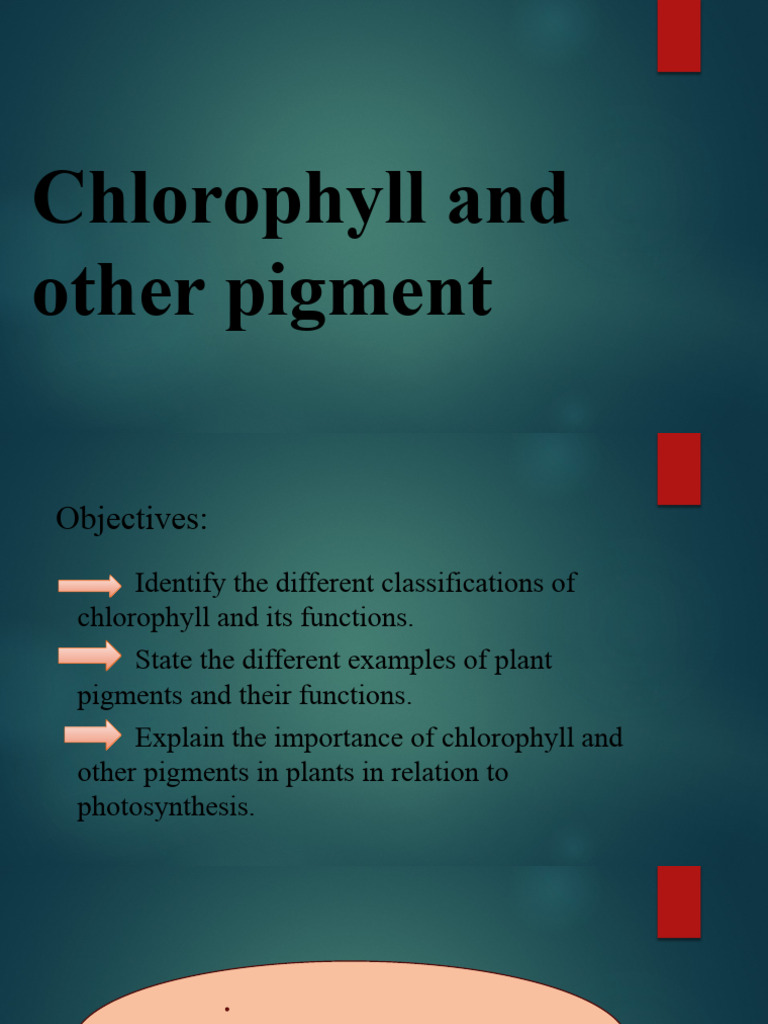 Chlorophyll and Plant Pigments Overview | PDF | Photosynthesis ...