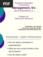 Schermerhorn Mgmt9 Ch16