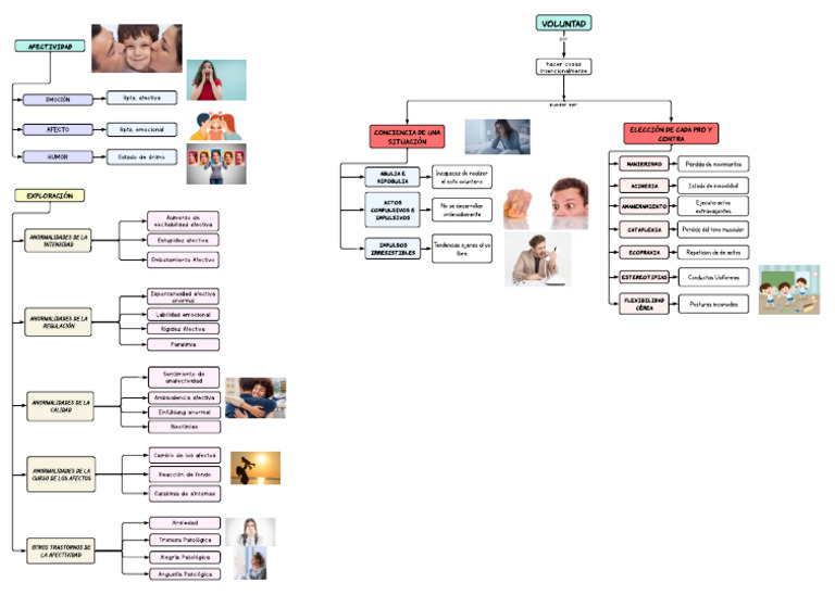 Trastornos de la Afectividad y Emoción | PDF | Las emociones | Salud mental