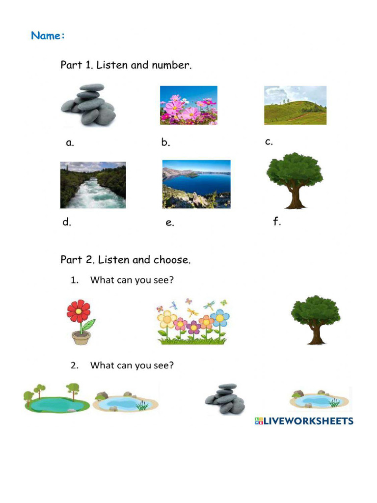 Problem Reading Document Pdf