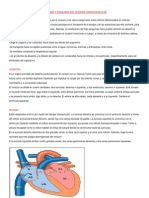 Anatomia y Fisiologia Del Sistema Cardiovascular