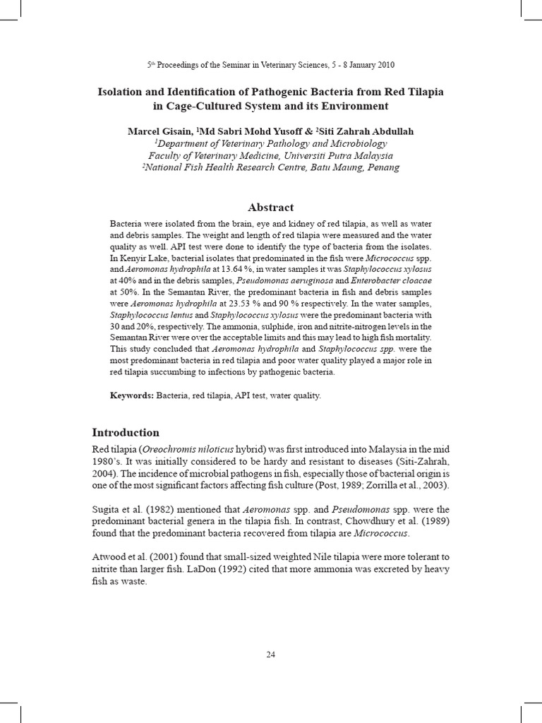 Gisain - Isolation and Identification of Pathogenic Bacteria From Red ...
