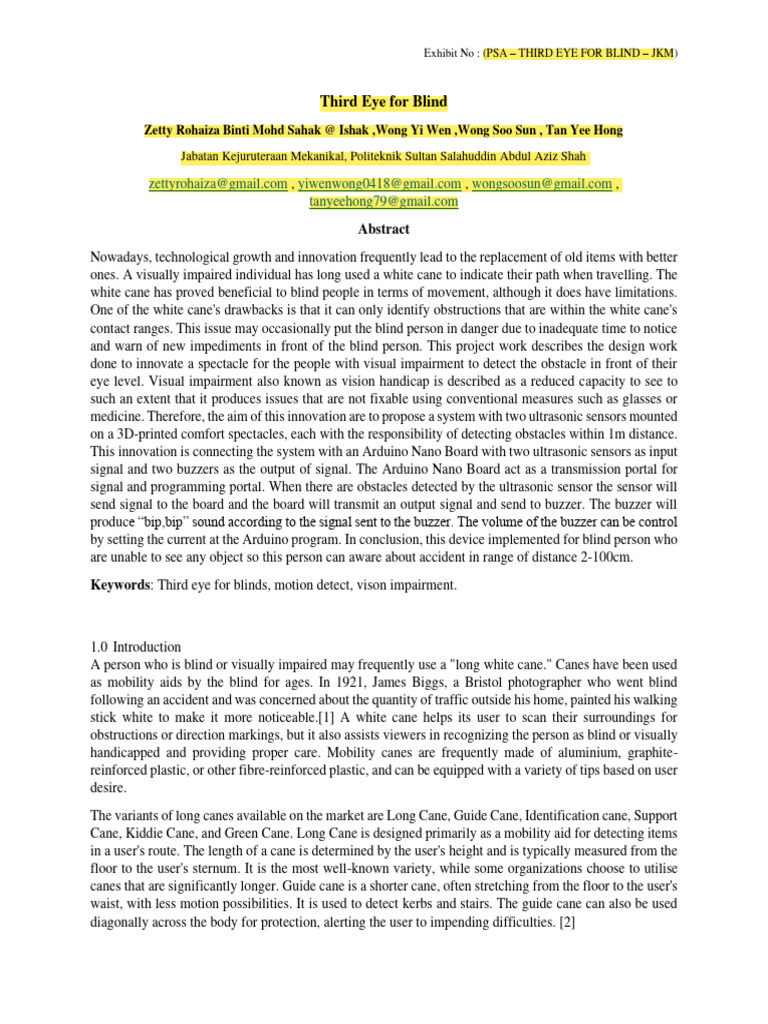 Third Eye For Blind Format | PDF | Visual Impairment | Methodology