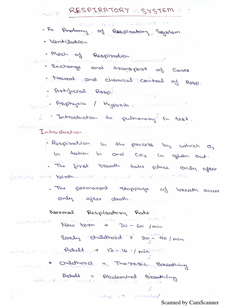 Handwritten Respiratory Notes PDF | PDF
