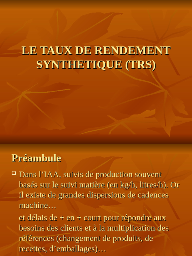Optimisation du Taux de Rendement Synthétique | PDF