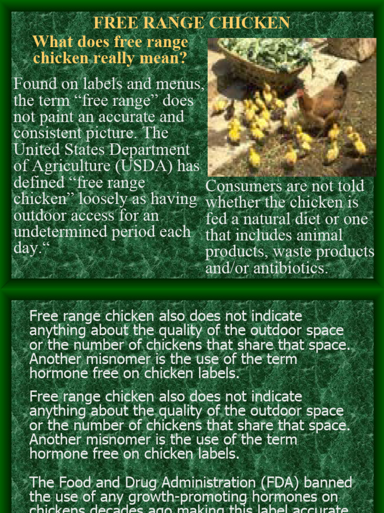 Understanding Free Range Chicken | PDF | Poultry Farming | Poultry