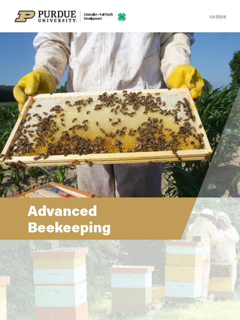 Advanced Beekeeping Techniques Guide | PDF | Beekeeping | Beehive