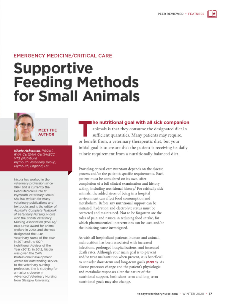 Supportive Feeding for Small Animals | PDF | Nutrition | Diet & Nutrition